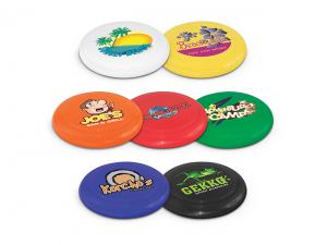 Promotional Flyers (Small)