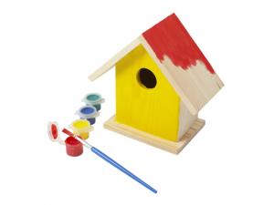 Creative Birdhouse With Paints