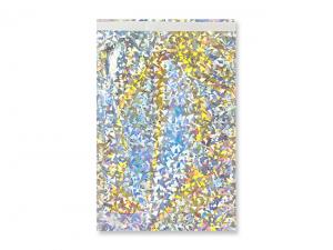 Promotional Holographic Foil Envelopes (UNBRANDED)
