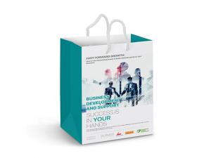 Promotional Paper Bags - Laminated Colour Printed (Medium)