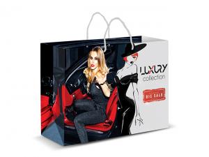 Promotional Laminated Colour Printed Paper Bags (Large)