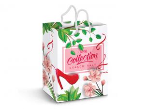 Paper Bags - Laminated Colour Printed (Large)