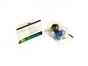 Promotional Lindt Balls x2 With Business Cards