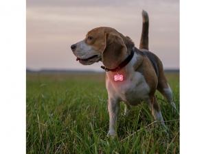 Promotional Reflective Lights For Pets