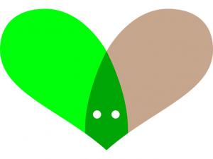 Promotional We collaborate