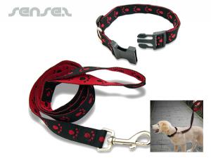 Dog Collars & Leashes